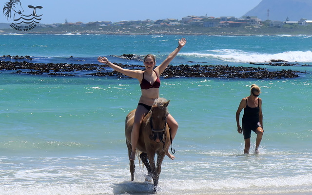 Gansbaai & Pearly Beach Horse Trails
