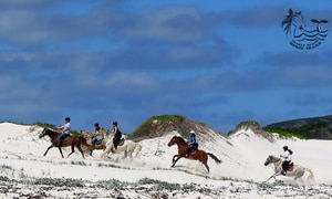 Our latest reviews...