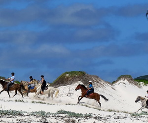 Our latest reviews...