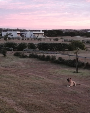 IMG_20200327_184938_1595255962