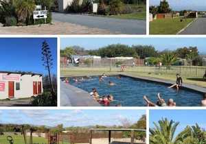 Opening Thursday, 6 August 2020