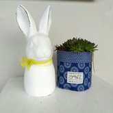 Decor - Lili & Co - Kleinmond