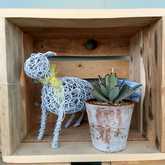 Decor - Lili & Co - Kleinmond