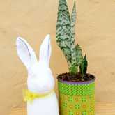 Decor - Lili & Co - Kleinmond