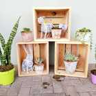 Decor - Lili & Co - Kleinmond