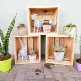 Decor - Lili & Co - Kleinmond