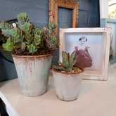 Decor - Lili & Co - Kleinmond