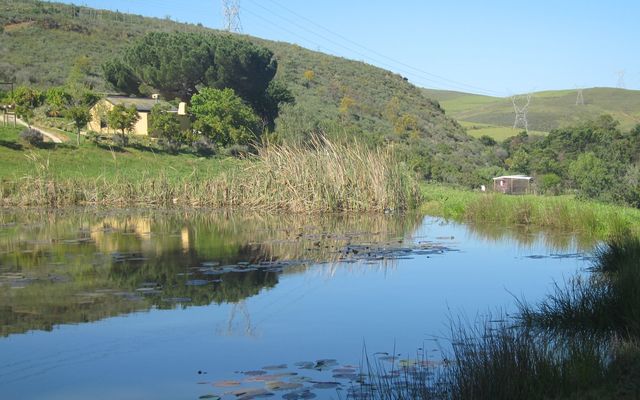 13392074_1038289126219652_6877186214619177041_o_1596197354