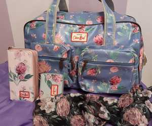 Proteas are in bloom at JOY! 