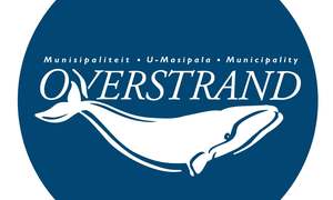 SASSA Introduces Flexible Way To Access Your 350 Grant