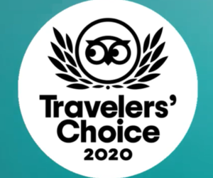 2020 Travelers’ Choice Award-Winner