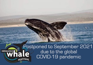The 2020 Hermanus Whale Festival Postponed