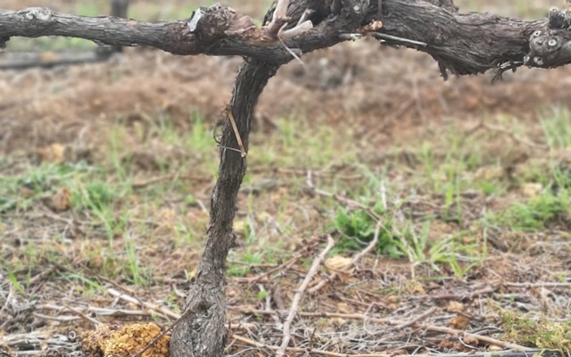 116692122_4167001456674444_8034362113481656970_o_1596783785