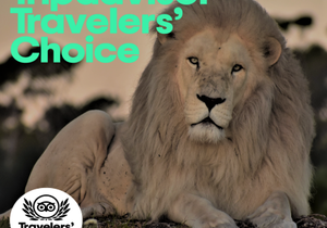 TripAdvisor Travelers' Choice Award 2020