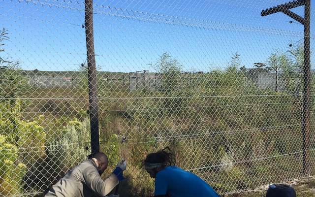 117316974_3342554605829441_7133342705260888892_o_1597131011