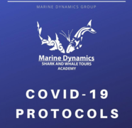 COVID-19: PROTOCOLS