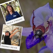 Wine & Wildlife - Insects & White Blends - 13 August 2020