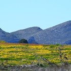 Mountain View - Duinefontein Game Farm - Gansbaai