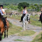 Horse Riding - Duinefontein Game Farm - Gansbaai