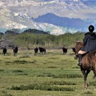 Horse Riding - Duinefontein Game Farm - Gansbaai