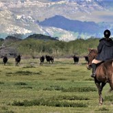 Horse Riding - Duinefontein Game Farm - Gansbaai