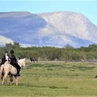 Horse Riding - Duinefontein Game Farm - Gansbaai