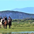 Horse Riding - Duinefontein Game Farm - Gansbaai