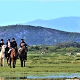 Horse Riding - Duinefontein Game Farm - Gansbaai