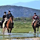 Horse Riding - Duinefontein Game Farm - Gansbaai