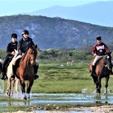 Horse Riding - Duinefontein Game Farm - Gansbaai