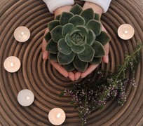 Enter A New Age Of Holistic Healing And Natural Therapy