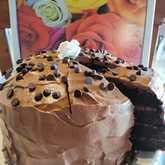 Chocolate Mousse Cake - Café Stanford