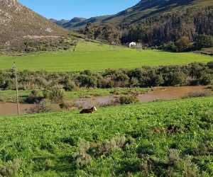 News from Raka Wines