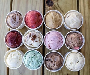 Diabetic and Vegan Gelato Options