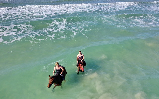 Gansbaai & Pearly Beach Horse Trails