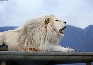 Exciting Announcement: We Are Open!