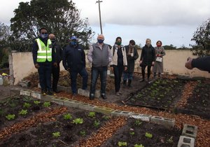 Church land serves as a vegetable garden to help feed community