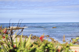 Looking for well-maintained family holiday homes in Hermanus