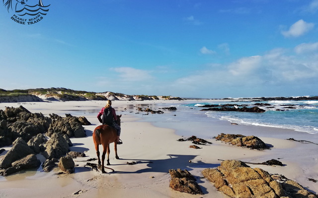 Gansbaai & Pearly Beach Horse Trails Gansbaai & Pearly Beach Horse Trails