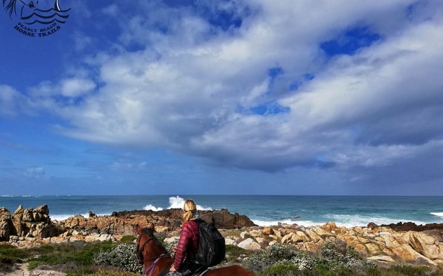Gansbaai & Pearly Beach Horse Trails Gansbaai & Pearly Beach Horse Trails