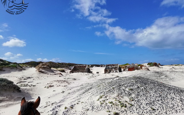 Gansbaai & Pearly Beach Horse Trails Gansbaai & Pearly Beach Horse Trails