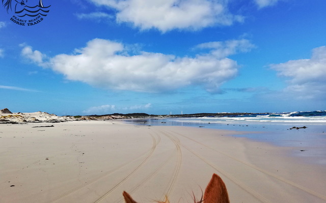 Gansbaai & Pearly Beach Horse Trails Gansbaai & Pearly Beach Horse Trails