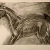 Charcoal Drawing - Sara Abbott Studio - Stanford