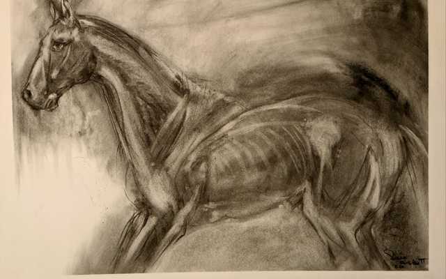 WhatsApp_Image_2020_08_26_at_07.00.12_1__1598420543