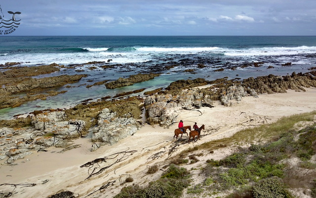 Gansbaai & Pearly Beach Horse Trails