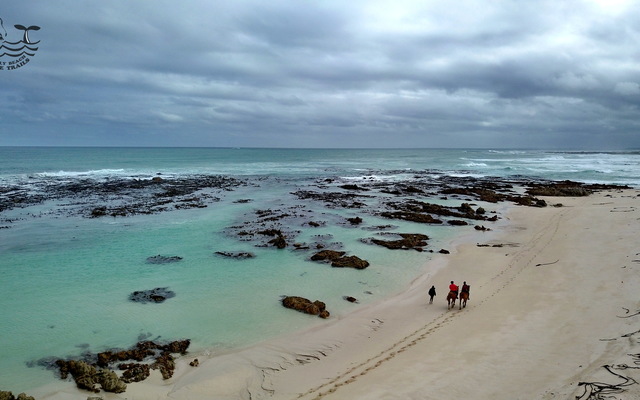 Gansbaai & Pearly Beach Horse Trails