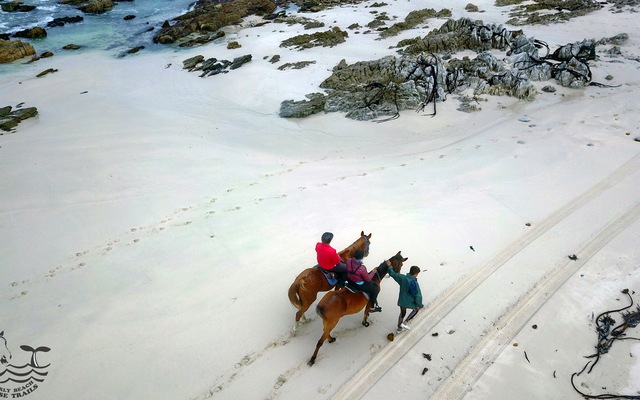Gansbaai & Pearly Beach Horse Trails