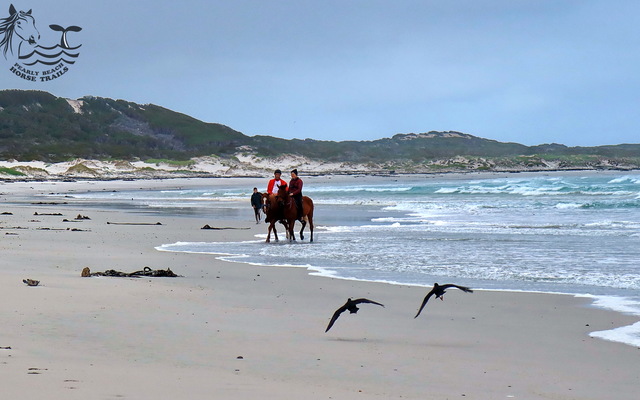 Gansbaai & Pearly Beach Horse Trails
