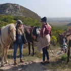 Horse Riding - Saxon Lodge - Gansbaai Horse Riding - Saxon Lodge - Gansbaai