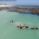 Horse Riding - Saxon Lodge - Gansbaai